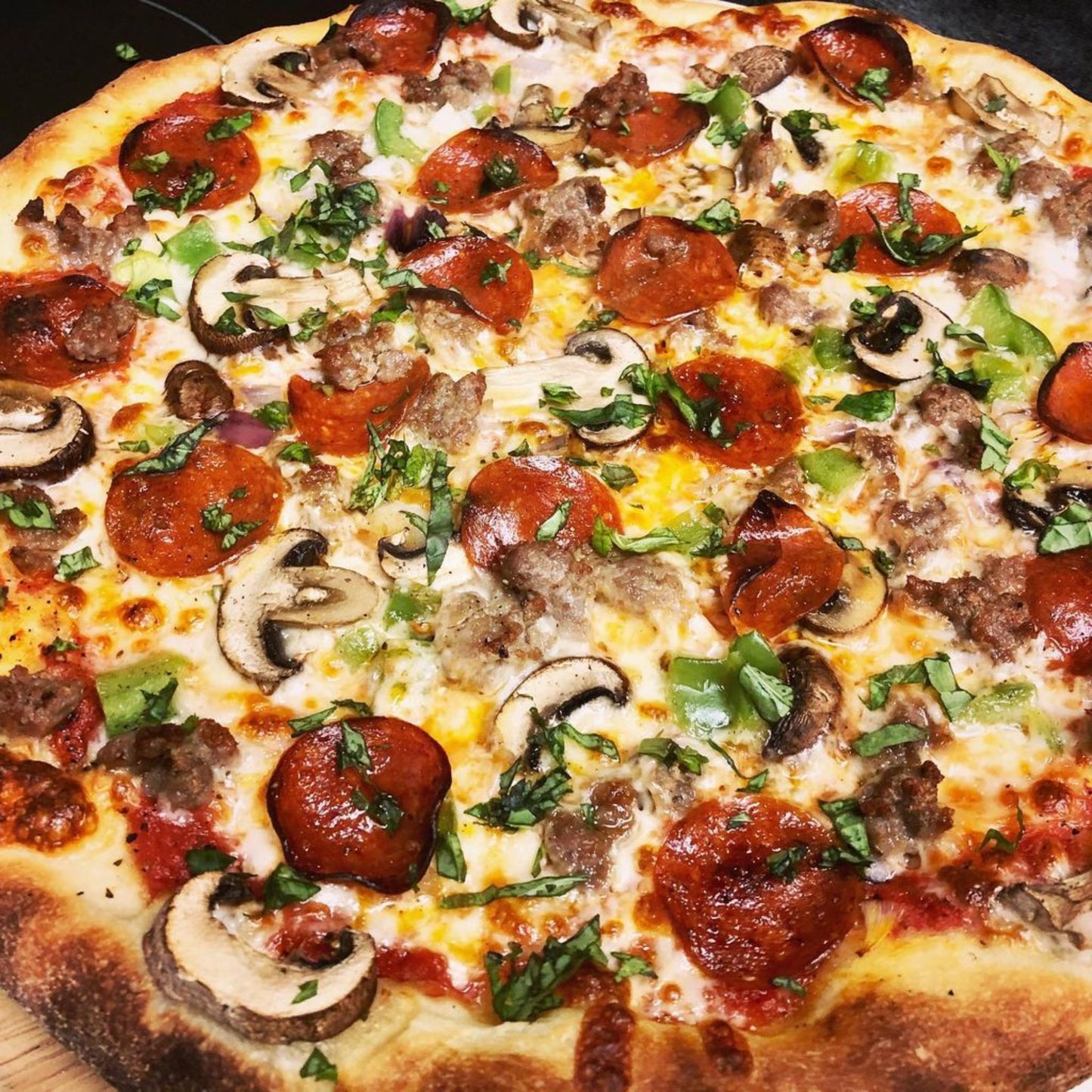 Bull Outdoor Dual Fuel Countertop Pizza Oven